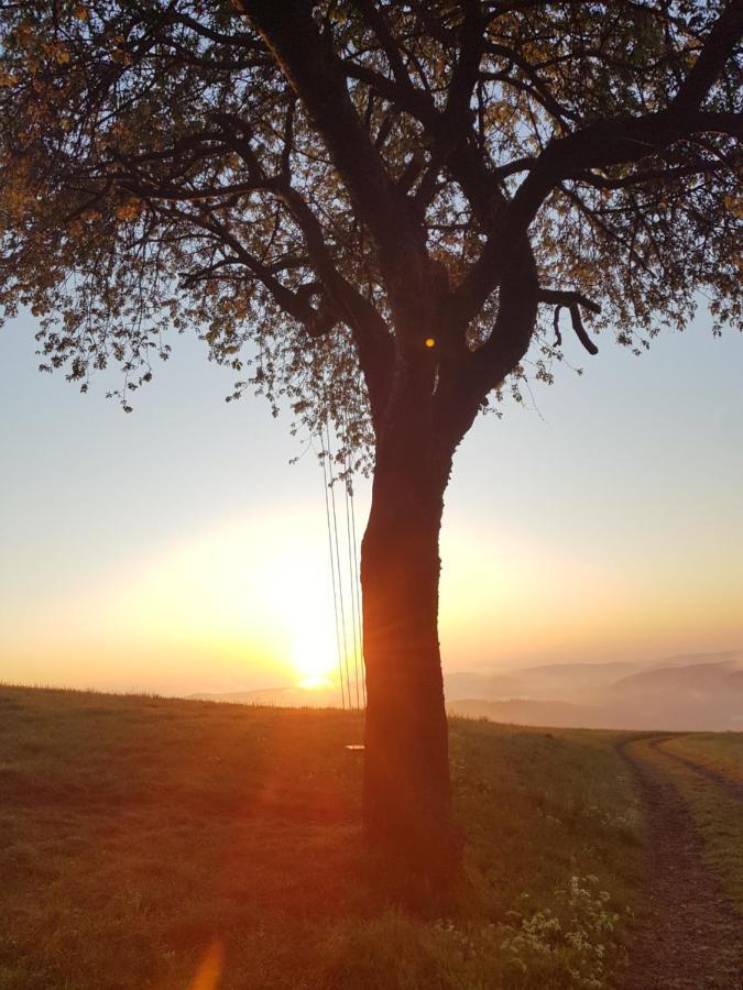 Sonnenschein Am Rursee Simmerath Exteriér fotografie
